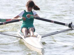 Naro 2012